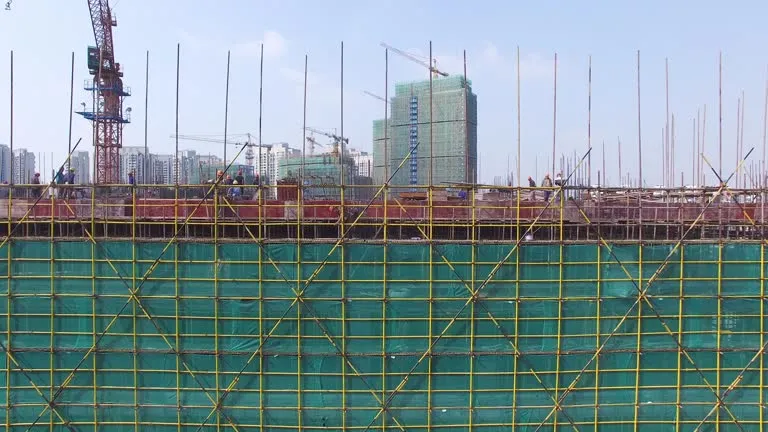 scaffolding nets.png